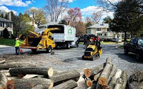 Lawn Grading and Leveling in Muhlenberg Park, PA